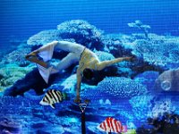 IMG 7456